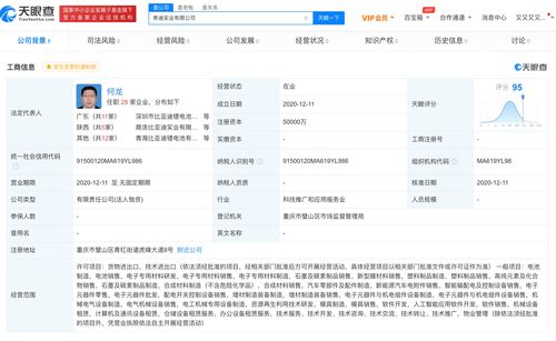 比亚迪成立弗迪实业，布局人工智能应用软件开发